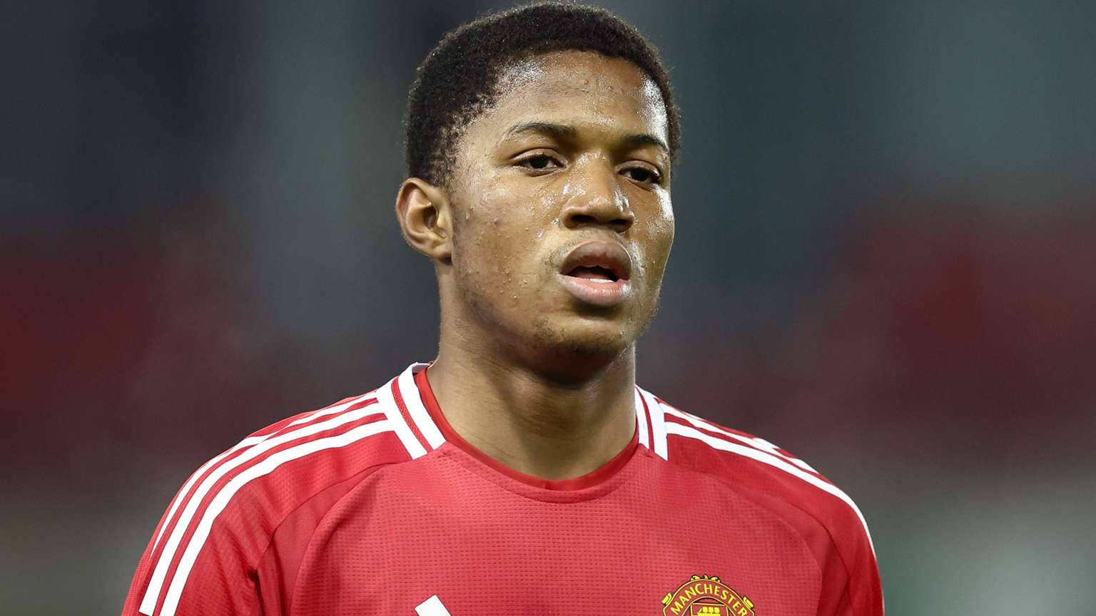 47岁大罗与妻子浪漫举行婚礼 迎接人生第四段爱情旅程