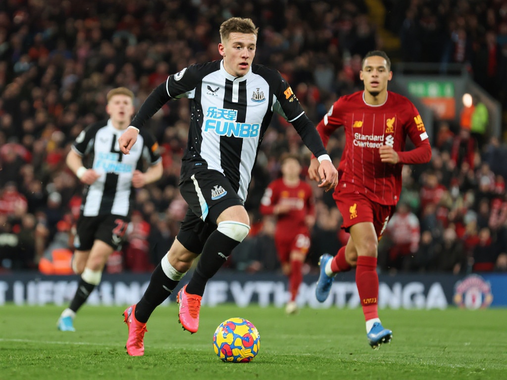 不仅体现在 不仅体现在